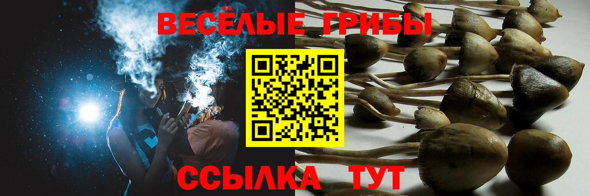 Иркутск  Псилоцибиновые грибы прущие грибы  Галлюциногенные грибы Psilocybe  Вход с VPN 